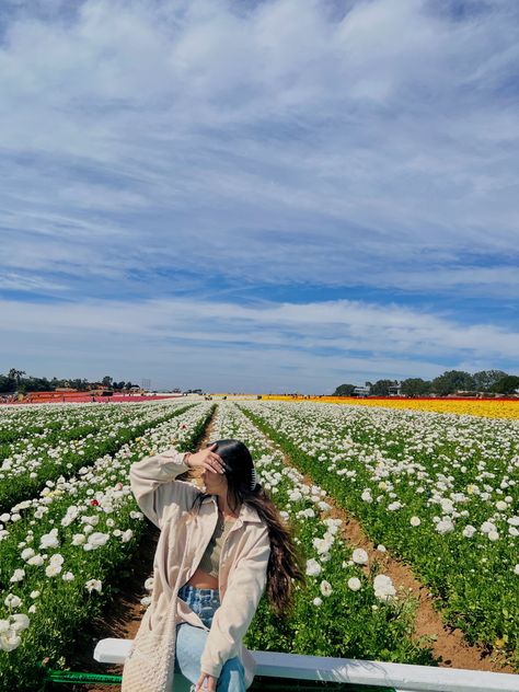 san diego, california aesthetic, flower field, carlsbad flower field, flower field aesthetic, flower field pic, instagram poses, instagram inspo Aesthetic Flower Field, Flower Field Aesthetic, Amsterdam Tulips, Field Aesthetic, Tulips Images, Carlsbad Flower Fields, California Aesthetic, Spring Portraits, Summer Picture Poses