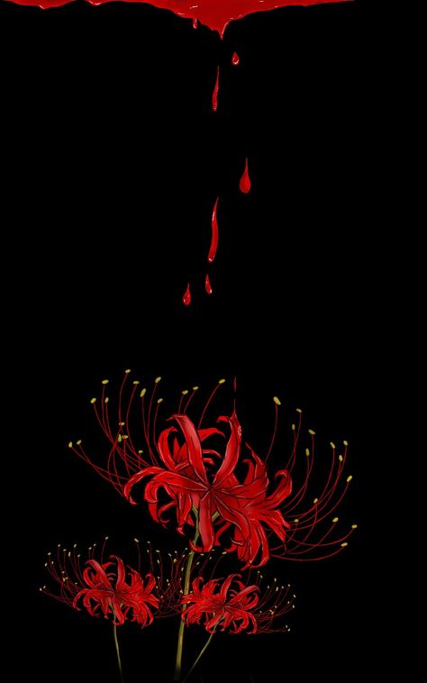 Spider Lilies Wallpaper, Spider Flower Wallpaper, Spider Lily Aesthetic Wallpaper, Red Spider Lily Wallpaper Iphone, Red Spider Lily Aesthetic, Red Spider Lily Wallpaper, Lycoris Radiata, Red And Black Background, Lily Wallpaper