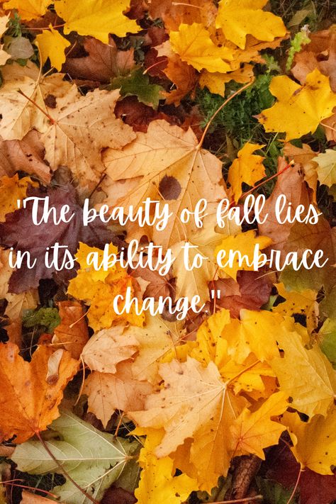 Fall Time Quotes, Harvest Quotes, Autumn Quotes Inspirational, New Month Quotes, Seasons Months, Thinking Of You Quotes, Scenic Pictures, Embrace Change, Autumn Quotes