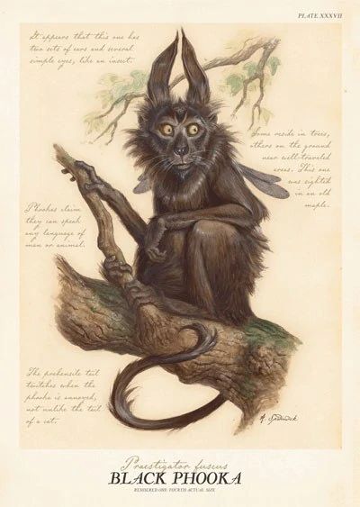 British Folklore Creatures, Irish Mythical Creatures, Irish Myths, Mystical Creatures Mythology, British Folklore, Celtic Magic, Spiderwick Chronicles, Folklore Art, Irish Folklore