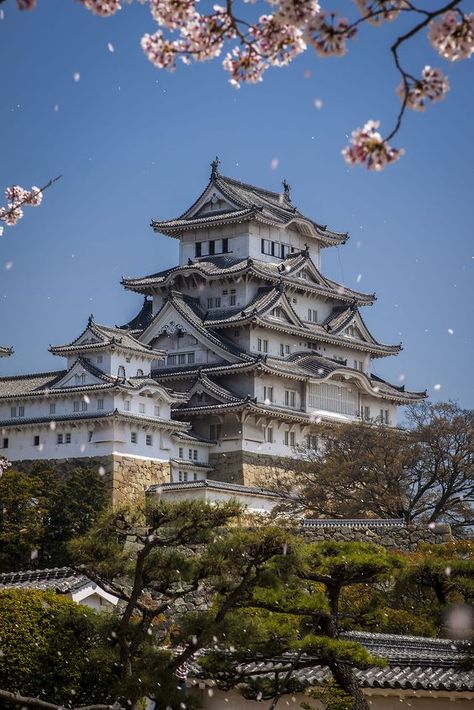 Himeji Castle, Cherry Blossom Trees, Japanese Castle, Japan Architecture, Japanese Temple, Asian Architecture, Japanese Architecture, Beautiful Castles, Kyoto Japan