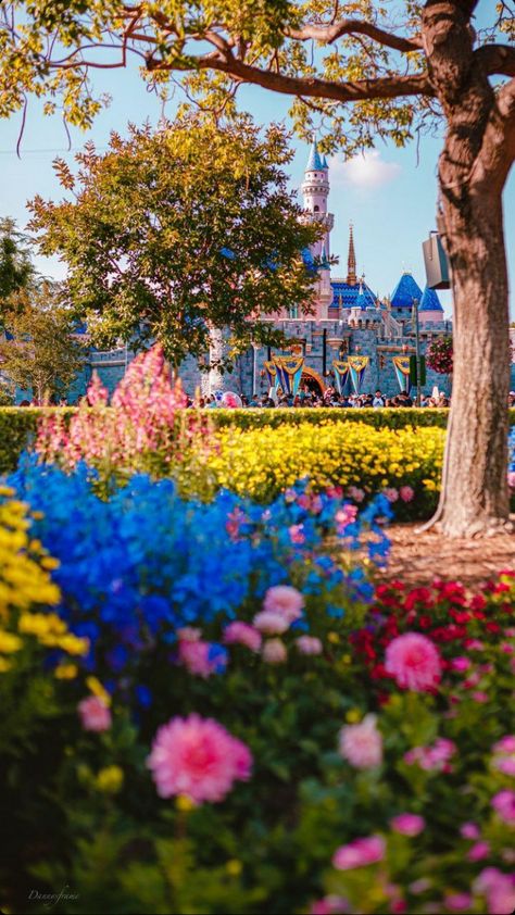 Disneyland Spring, Disneyland Wallpaper, Mainstreet Usa, Magic Kingdom Orlando, Spring Pics, Park Pics, Castle Wallpaper, Wallpapers Disney, Disneyland Photography