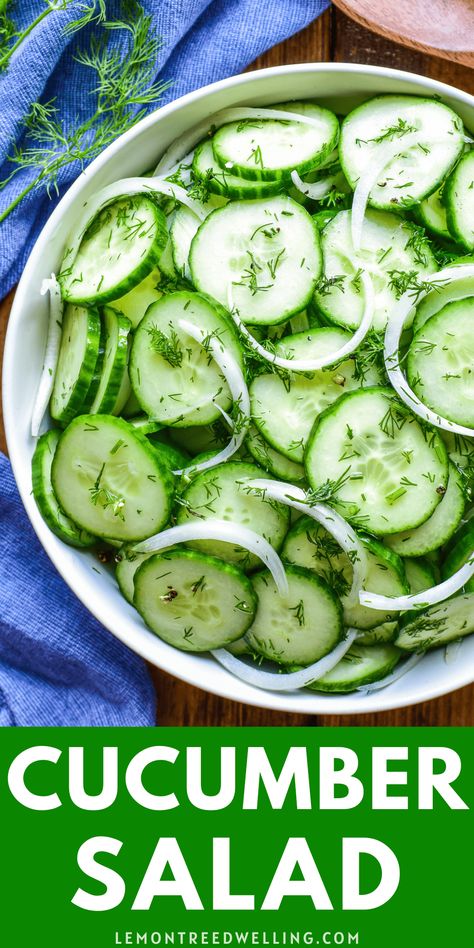 The perfect summer side dish! This Cucumber Salad is fresh, flavorful, and so easy to make. Guaranteed to be your favorite new go-to recipe! Summer Sides, Mini Cucumbers, Fresh Salad Recipes, Cucumber Recipes Salad, Vidalia Onions, Rice Wine Vinegar, Cucumber Recipes, English Cucumber, Summer Side Dishes