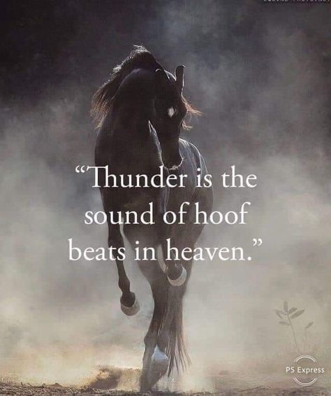 Horse People Quotes, Best Horse Quotes, Horse Riding Quotes Motivation, Horses Quotes Inspirational, Horse Quotes Meaningful Short, Short Horse Quotes, Pics Of Horses, Horse Lover Quotes, Horse Quotes Meaningful