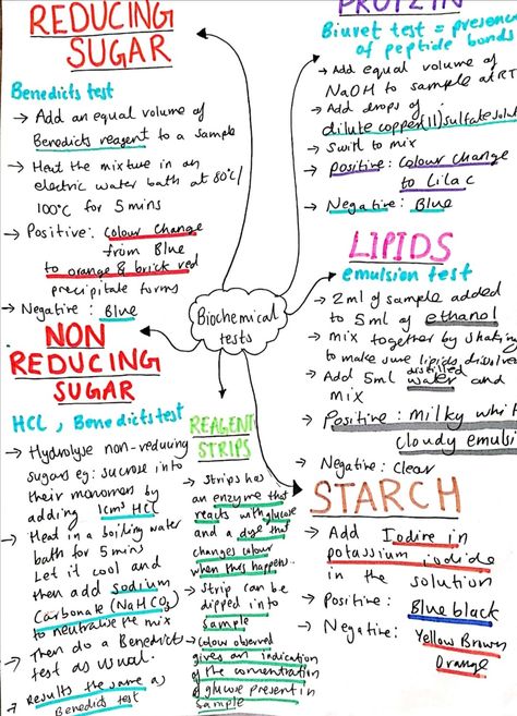 Biological Molecules, Swirl, Bullet Journal