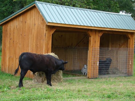 log cow shelters | This is a well constructed, economical choice for sheltering mid to ... Cow House Farms, Diy Cow Shelter, Cow Pen Ideas, Cow Shelter Ideas, Mini Cow Barn, Cattle Shelter, Cow Shelter, Contemporary Barndominium, Goat Shelters