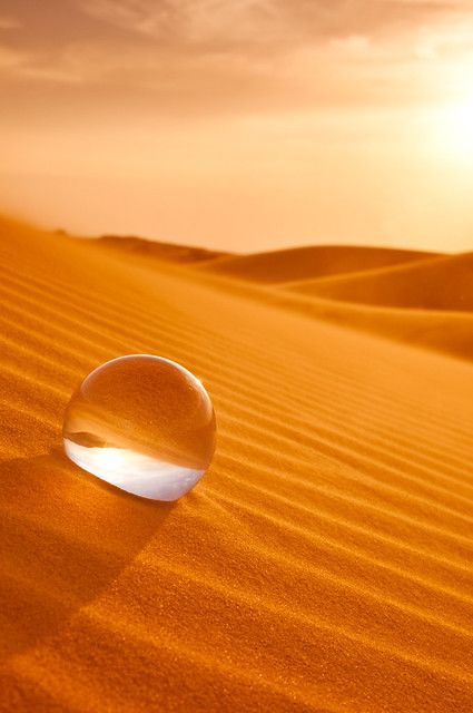 Image Zen, Ball Photography, Orange You Glad, Orange Aesthetic, Dew Drops, Desert Sand, Orange Crush, Water Droplets, Shades Of Orange