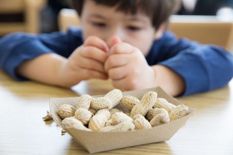 The Gut Flora-Food Allergies Connection Asthma Inhaler, Kids Allergies, Allergy Asthma, Peanut Allergy, Flora Intestinal, Food Allergens, Food Allergies, Allergies, A Food