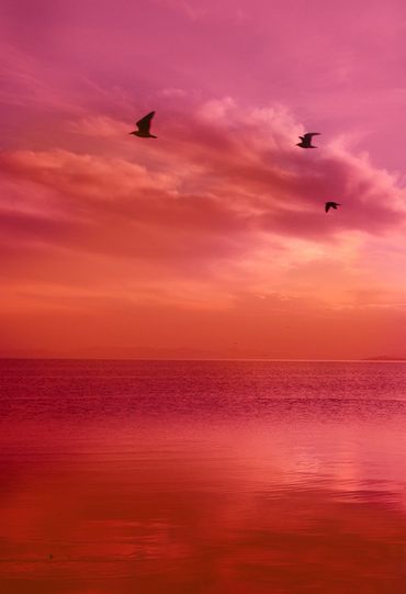 Red Sunset, Colorful Life, Orange Aesthetic, Pink Sunset, Sunset Colors, Pink Sky, Red Aesthetic, Pink Aesthetic, Sunrise Sunset