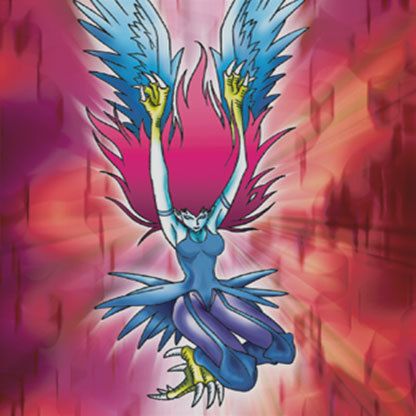 Harpie's-lady-card-revfl Harpie Lady, Rare Yugioh Cards, Sentimental Circus, Dark Evil, Yugioh Monsters, Kaiju Art, Joker Art, Yugioh Cards, Mythological Creatures