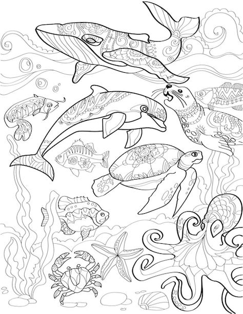 Drawing Ocean Animals, Drawing Ocean, Aquatic Art, Animals Coloring Pages, Aquatic Creatures, Farm Animal Coloring Pages, Desert Animals, Underwater Sea, Horse Coloring Pages