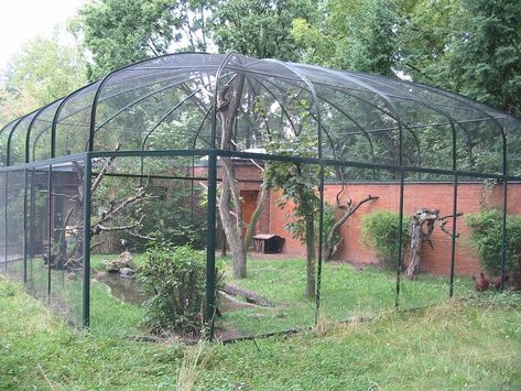 Aviary Ideas Outdoor, Outdoor Aviary, Aviary Ideas, Outdoor Pet Enclosure, Katt Grejer, Pet Bird Cage, Outdoor Cat Enclosure, Pet Enclosure, Bird House Kits