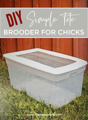 Plastic Tote Chicken Brooder, Diy Brooder Box Ideas, Brooder Box Ideas, Diy Chick Brooder, Chicken Keeping Hacks, Chicken Brooder Box, Chick Brooder, Herbs For Chickens, Brooder Box