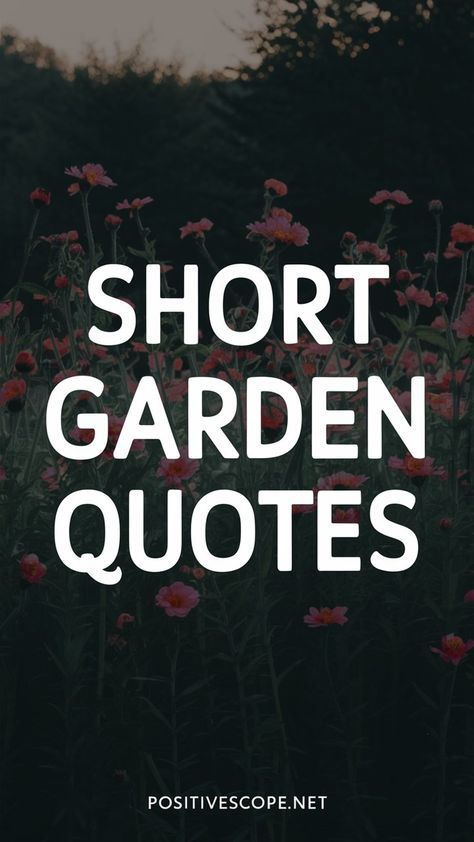 Discover the best short garden quotes that are simple, poetic, or heartwarming. Perfect for capturing the beauty of flowers, growth, and the magic of a blooming garden! Quotes For Nature, Long Distance Friendship Quotes, Rodeo Quotes, Spring Quotes, Blooming Garden, Garden Quotes, Dear Self Quotes, If Rudyard Kipling, Beauty Of Flowers