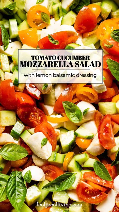 Fresh Mozzarella Salad, Tomato Mozzarella Salad, Best Side Dish, Farmers Market Recipes, Vegetarian Salad Recipes, Mozzarella Salad, Cucumber Tomato Salad, Tomato Cucumber, Tomato Mozzarella