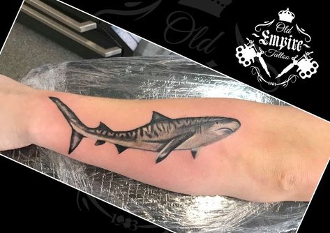 Tigershark Tattoo, Tiger Shark Tattoo, Small Shark Tattoo, Empire Tattoo, Dove Tattoo, Small Shark, Shark Tattoo, Shark Tattoos, Tiger Shark