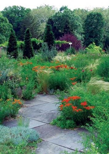 Native Landscape Design Midwest, Michigan Landscaping Ideas, Landscaping Midwest, Midwest Landscaping, Hillside Stairs, Native Plant Landscaping, Michigan Landscaping, Michigan Backyard, Midwest Garden