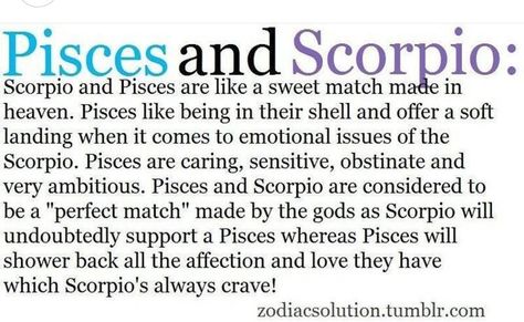 I once dated a Scorpio...very true Scorpio Male Pisces Female, Pices Zodiac Facts Relationship, Scorpio And Piceses Relationship, Pisces Man Scorpio Woman, Scorpio And Pisces Conversations, Scorpio Man Pisces Woman, Scorpio X Pisces, Pisces X Scorpio, Pisces Woman Scorpio Man