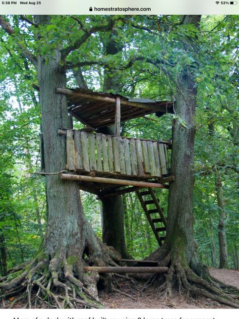 Woods Hangout Spot, Deck With Roof, Pallet Tree Houses, Tree Forts, Simple Tree House, Green Roof Building, Kids Tree, Tree House Plans, Tree Fort