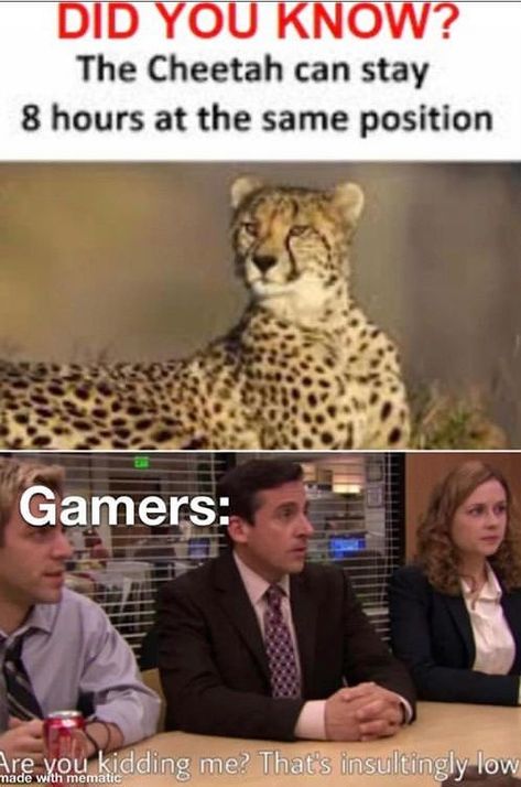 50 Solid Funny and Dank Memes To Satisfy Your Craving #funny #memes #lol #haha #wtf #lol #dank Gamer Meme, Gamer Humor, Video Games Funny, Crazy Funny Memes, Gaming Memes, Some Funny Jokes, Really Funny Memes, Fun Quotes Funny, Funny Games