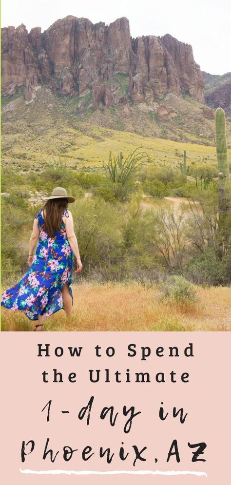 11 Must-Do Things in Phoenix, Here's how to spend 1 day in Phoenix AZ! One Day In Phoenix Az, Roosevelt Row Phoenix Az, Best Things To Do In Phoenix Az, Phoenix Az Things To Do In, Phoenix Things To Do, College Tours, Phoenix Travel, Sedona Travel, Hidden Bars