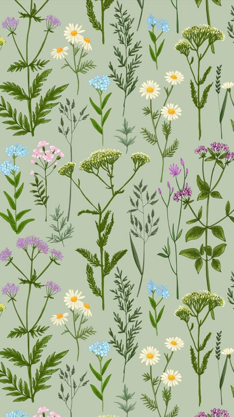 Herbs Illustration, Wildflower Drawing, Acrylic Flower Painting, Wild Herbs, Plant Background, Cocoppa Wallpaper, Line Vector, Flowery Wallpaper, Flowers Painted