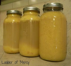 Ladder of Mercy: Canning Orange Juice Canning Pineapple, Orange Juice Recipes, Home Canning Recipes, Gallon Jars, Orange Juice Concentrate, Citrus Juicer, Home Canning, Pressure Canning, Grapefruit Juice