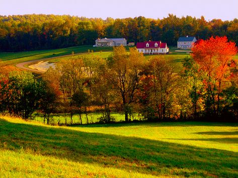 Virginia Countryside, Painting Mood, Best Place To Live, Beyond The Horizon, Place To Live, Best Places To Live, Tech Trends, Places Around The World, Country Life