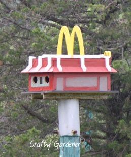 Birdhouse City - Crafty Gardener.ca.  Too funny  - and we all know how much birds love those fries! Birdhouse City, Funny Birdhouses, Bird House Diy, Fun Places To Visit, Cool Bird Houses, Painted Birdhouses, Birdhouse Projects, Birdhouse Ideas, Homemade Bird Houses