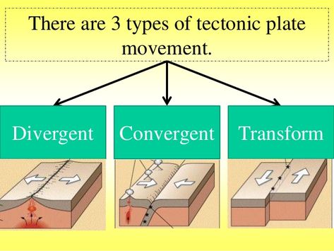 There are 3 types of tectonic plate  movement.  Divergent Convergent Transform Plate Boundaries Drawing, Tectonic Plate Movement, Basic Geography, Animal Cells, Earth Science Lessons, Plate Boundaries, Plant And Animal Cells, Science Astronomy, Earth Projects