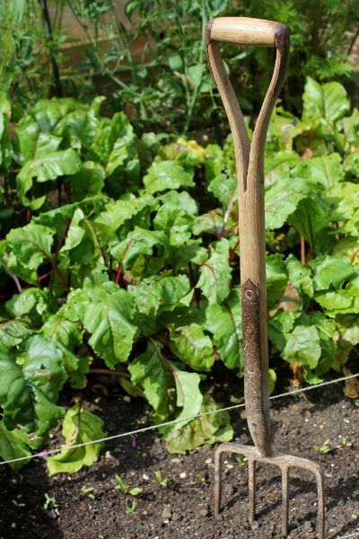 Tasha Tudor's Cottage Vintage Garden Tools, Pitch Fork, Mr Mcgregor, Dutch Farms, Garden Line, Victorian Gardens, Vegetable Patch, Rabbit Garden, Land Girls