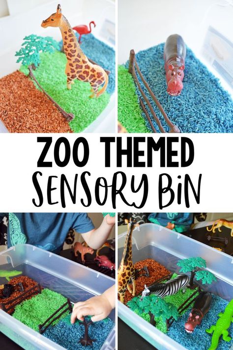 Zoo themed sensory bin for kids- we LOVE these zoo animal toys and they have come in handy for so many fun activities! Safari Sensory Bin, Infants Activities, Zoo Activities Preschool, Walker Learning, Zoo Preschool, Sensory Classroom, Zoo Crafts, Playground Activities, Safari Activities