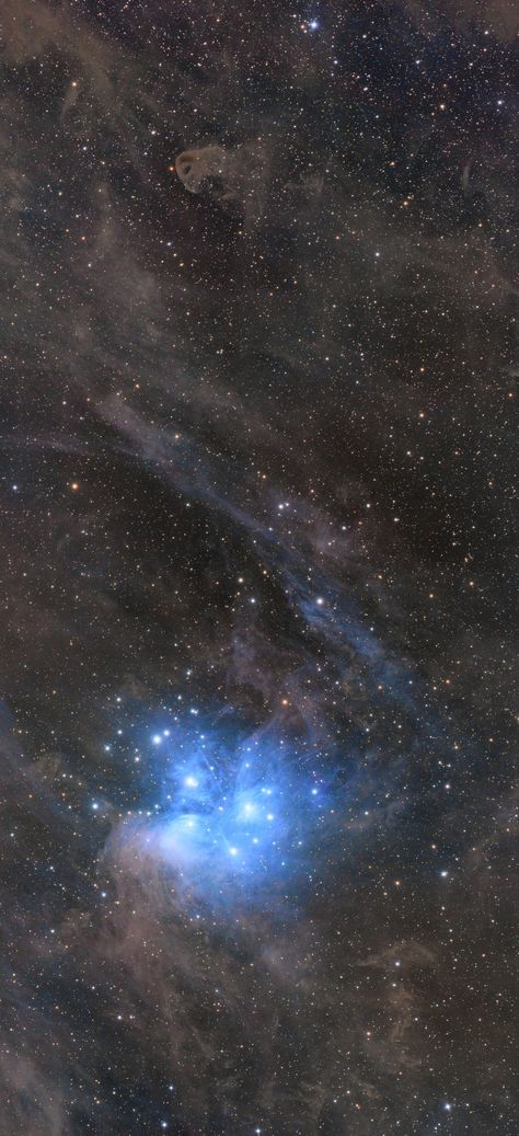 Pleiades and Baby Eagle Nebula by GergoB final version Cropped mobile wallpaper 1080x2400 Nebula Wallpaper, Eagle Nebula, Taurus Constellation, The Pleiades, Star Map, Out Of This World, Mobile Wallpaper, Astronomy, Constellations