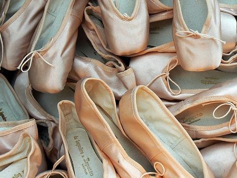 Repetto Ballet Slippers Ballet Slippers Aesthetic, 12 Dancing Princesses Aesthetic, Princesses Aesthetic, Slippers Aesthetic, Repetto Ballet Flats, Twelve Dancing Princesses, Svetlana Zakharova, The Baby Sitters Club, 12 Dancing Princesses