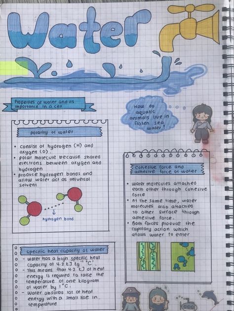 Cute One Pager Ideas, Aesthetic One Pager, One Pager Ideas Aesthetic, Dna Notes, Ap World History Notes, Best Bullet Journal Pens, Journal Pens, Bio Notes, Biochemistry Notes