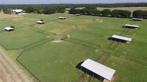 Horse facility horse pasture Equestrian Facility Layout, Cattle Facility, Dream Barn Stables, Horse Pasture, Barn Layout, Horse Paddock, Horse Farm Ideas, Horse Barn Ideas Stables, Horse Barn Designs