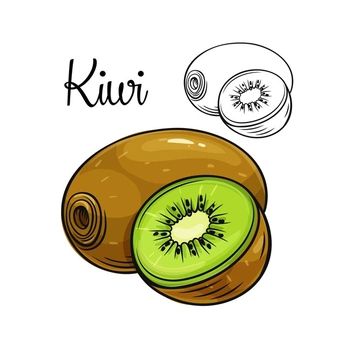 Victoria_sergeeva | Freepik Kiwi Fruit Drawing, Kiwi Drawing, Kiwi Vector, Draw Fruit, English Stickers, Iron Man Painting, Vegetable Drawing, Food Vintage, Fruit Cartoon