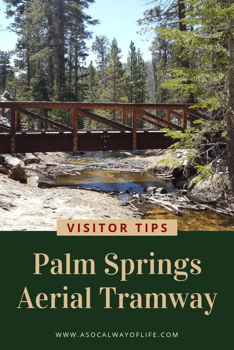 Did you know that the Palm Springs Aerial Tramway is one of the must-do activities if you visit Palm Springs?  Read on for tips to have a great experience! #PalmSprings #AerialTramway #PalmSpringsFamily #FamilyRoadtrip Palm Springs Tramway, Palm Springs Aerial Tramway, Los Angeles Day Trips, Aerial Tramway, Fun Places To Go, Family Road Trips, Los Angeles Area, Mommy Blogger, Travel Articles