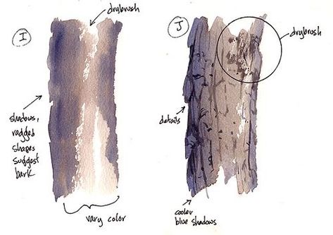 Pencil Drawings Ideas, Cathy Johnson, Watercolor Basics, Illustration Pencil, Tree Watercolor Painting, Watercolor Workshop, Watercolor Tips, Drawings Ideas, Watercolor Lessons