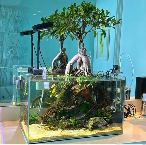 Fish Aquarium Decorations, Fish Tank Themes, Fish Pond Gardens, Fish Tank Terrarium, Aquascape Design, Fish Tank Design, Tropical Fish Tanks, Beautiful Terrariums, Fresh Water Fish Tank