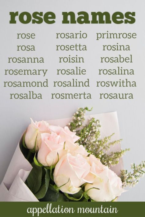 Kresha Bajaj, Funny Name Generator, Botanical Names, Gaelic Names, Female Character Names, Beautiful Name, Rosé Theme, Fantasy Names