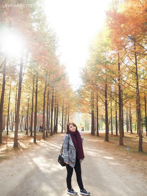 What To Wear In Korea In September, Autumn In Korea Outfit, Nami Island Spring, Korea Autumn Fashion, Outfits In Korea, Nami Island Autumn, Autumn Outfits In Korea, Taiwan Ootd, Korea Autumn