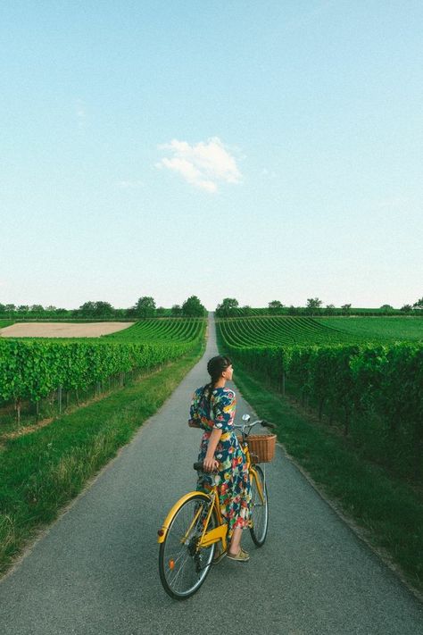 Bicycle Aesthetic, Travel Trailer Interior, Bicycle Photography, Bicycle Travel, Bike Photoshoot, Vintage Travel Trailers, Cycling Art, Vintage Bike, Bike Trips