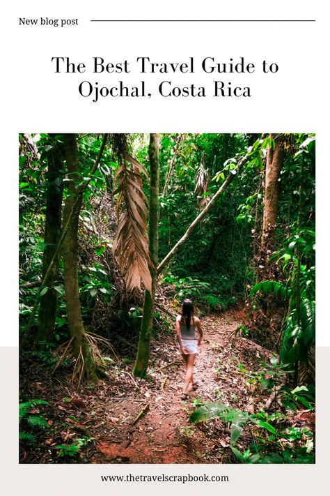 I discovered Ojochal during my 5-day trip to Costa Rica and decided to go back a second time because I wanted to see more of what southern Costa Rica had to offer. Located on the Pacific Coast, Ojochal Costa Rica offers a unique combination of breathtaking natural beauty, stunning beaches, and a laid-back lifestyle that will leave you feeling relaxed and rejuvenated. As a solo female traveler, I found Ojochal to be a safe and welcoming place to explore, with friendly locals, delicious food, an San Juan Costa Rica, Costa Ric, Trip To Costa Rica, Night Hiking, Quaint Village, Costa Rica Travel, Secluded Beach, Whale Watching, Travel Scrapbook