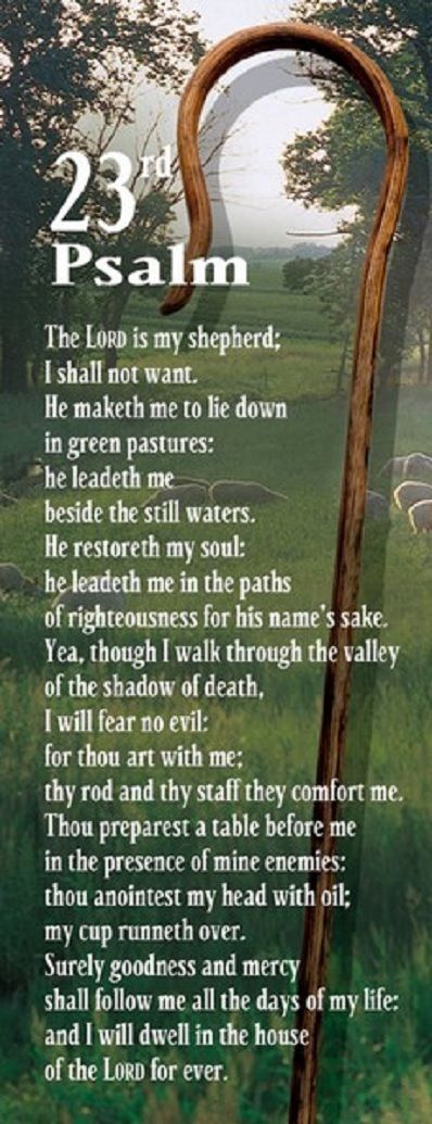 I Shall Not Want, Quotes Bible Verses, Bible Kjv, The Lord Is My Shepherd, Quotes Bible, Prayer Verses, Psalm 23, Prayer Warrior, Carl Jung