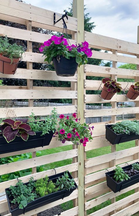 Long Pallet Ideas, Pallet Planter Wall, Pallet Hacks, Pallet Garden Walls, Outdoor Yard Ideas, Herb Wall, Planter Wall, Urban Gardens, Porch Planters