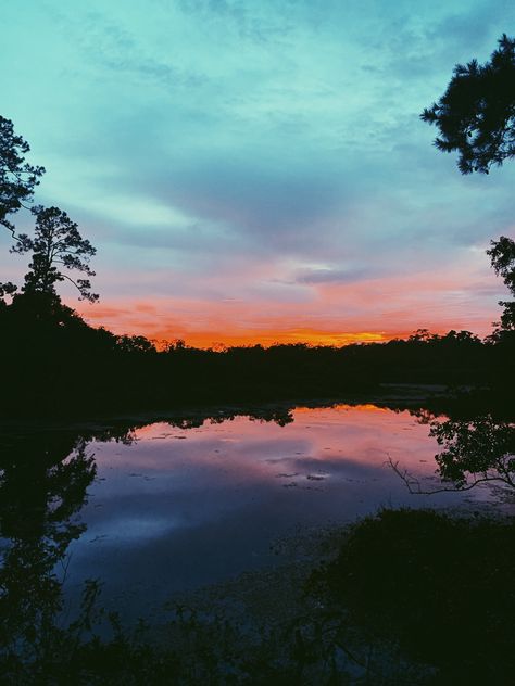 Dark Summer Aesthetic, Louisiana Aesthetic, Dark Summer, Character Aesthetics, I Want To Travel, Summer Aesthetic, Beautiful World, Louisiana, Paint