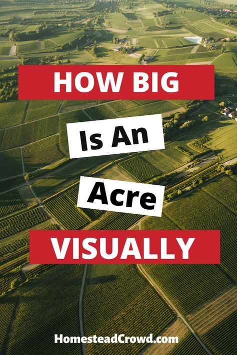 Discover the size of an acre in this guide, offering practical visualizations with common comparisons like football fields, tennis courts, and parking lots. Acre Homestead, Tennis Courts, Homestead Survival, Football Field, Tennis Court, Tennis, Football, American Football