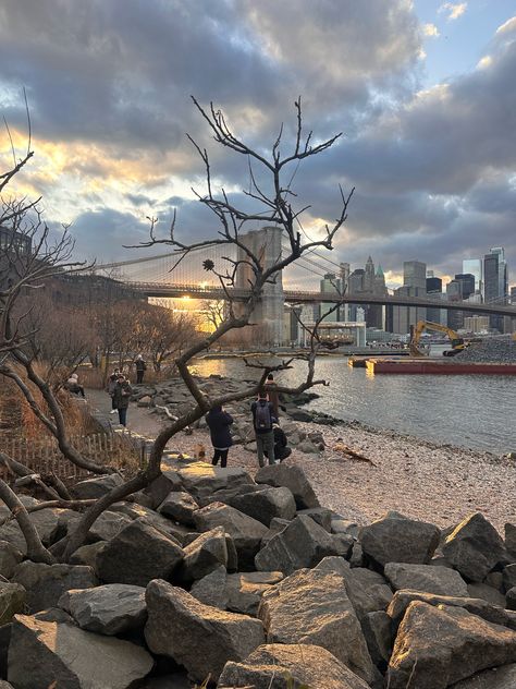 tree at dumbo in front of Brooklyn bridge in nyc Brooklyn Core, Brooklyn Bridge, Girly Girl, Brooklyn, Bridge