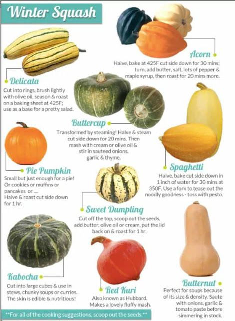 Squash Varieties, Pumpkin Squash, Zucchini Squash, Acorn Squash, Winter Squash, Squash Recipes, Food Facts, Spaghetti Squash, Veggie Dishes